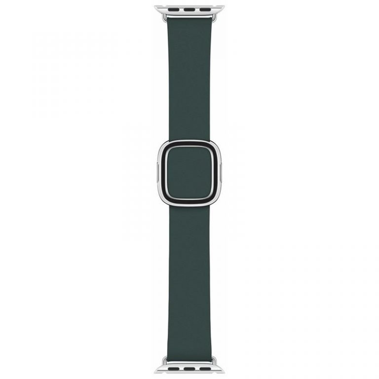 Apple Watch 40mm piniově zelený s moderní přezkou – velký (MTQK2ZM/A)
